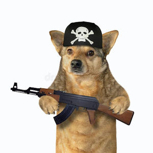 Meet your Posher, Dogmaticland